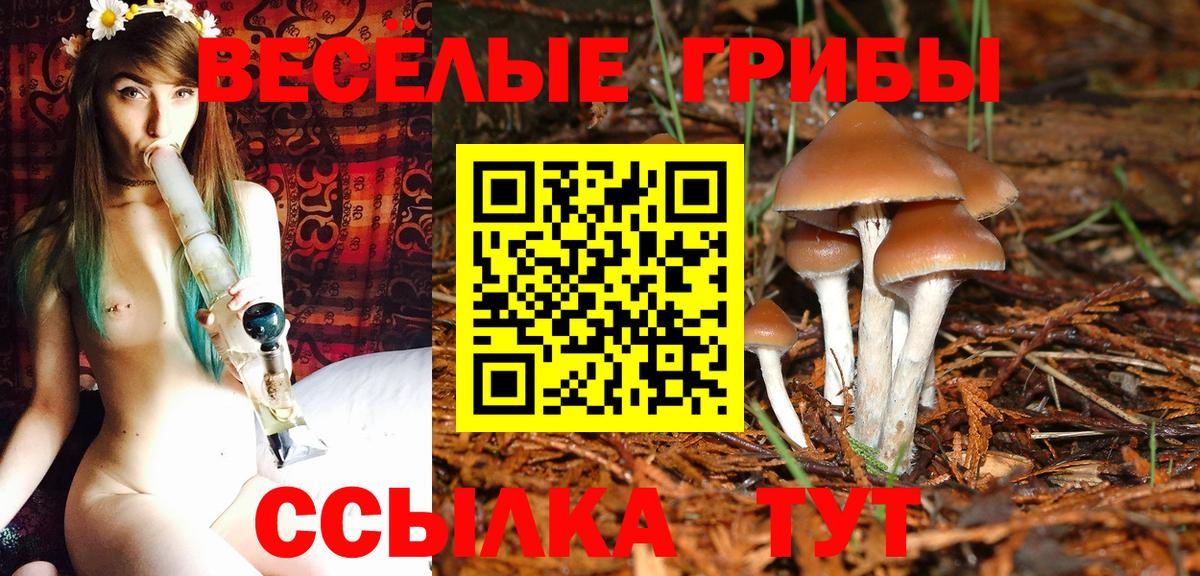 Псилоцибиновые грибы мухоморы Сальск